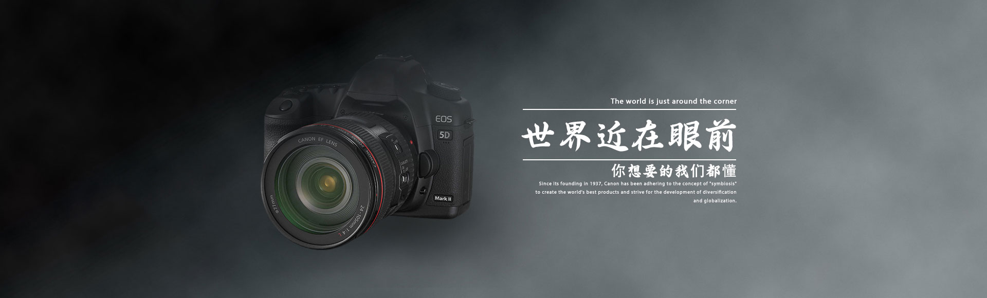 爱体育——专业体育赛事平台