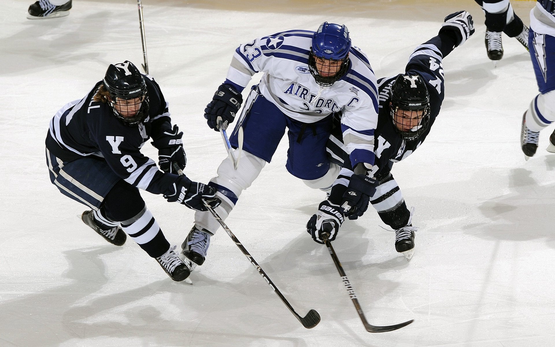 体育教育助力青少年全面发展 校园运动新风尚引领健康未来